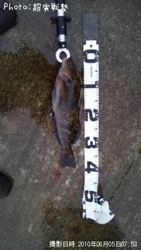 �����ʥ�