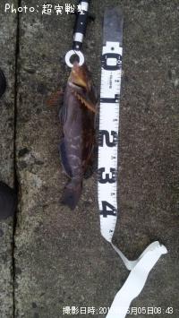 �����ʥ�