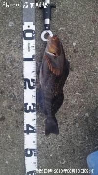 �����ʥ�