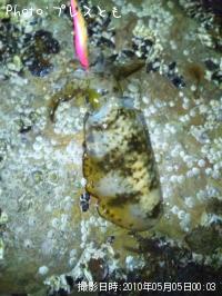 �����ꥤ��