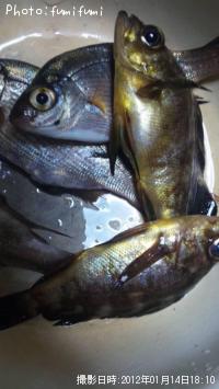 ¥á¥Ð¥ë¡¢¥¦¥ß¥¿¥Ê¥´