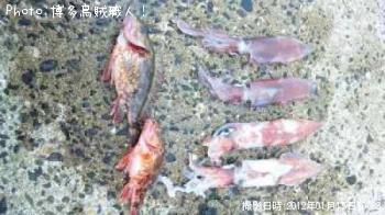 ���󥵥�����