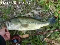 �֥�å��Х�