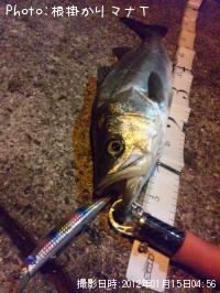 �����Х�