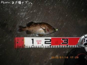 ¥¨¥¾¥á¥Ð¥ë