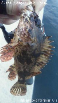 ¥¿¥±¥Î¥³¥á¥Ð¥ë