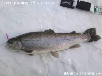 �쥤��ܡ��ȥ饦��