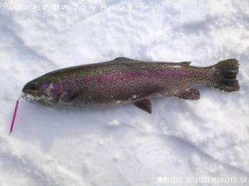 ¥ì¥¤¥ó¥Ü¡¼¥È¥é¥¦¥È