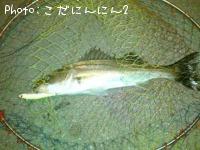 �����Х�