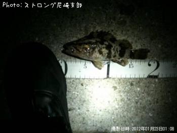 �����Υ���Х�