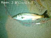 �����Х�