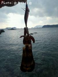 ¥¢¥ª¥ê¥¤¥«