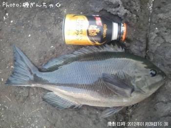 ¸ýÂÀ¥á¥¸¥Ê