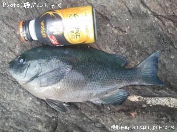 ¸ýÂÀ¥á¥¸¥Ê