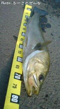 �����Х�