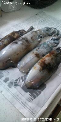 ¥¢¥ª¥ê¥¤¥«