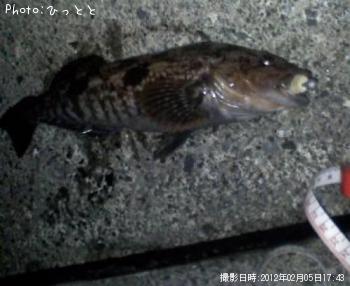 �����ʥ�