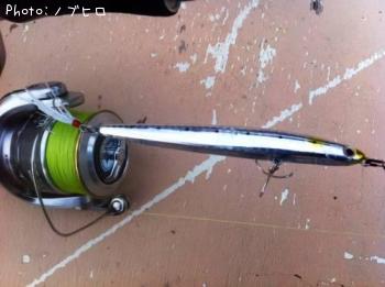 �����Х�