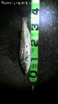 �����Х�