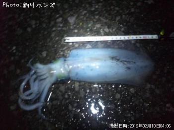 �����ꥤ��