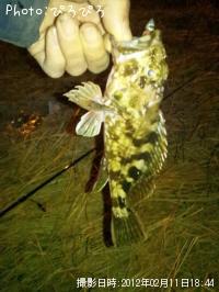 �����Υ���Х�