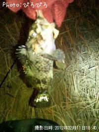 �����Υ���Х�