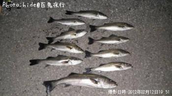 �����Х�