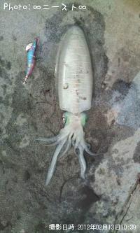 ¥¢¥ª¥ê¥¤¥«