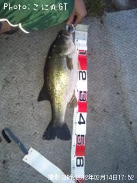 �֥�å��Х�