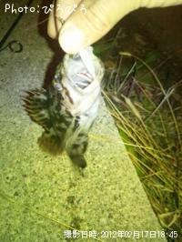 �����Х�