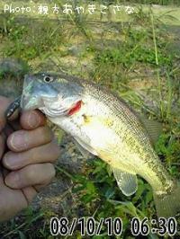 ¥Ö¥é¥Ã¥¯¥Ð¥¹