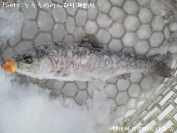 �˥��ޥ�