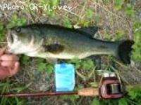 �֥�å��Х�