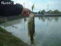 �֥�å��Х�