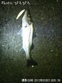 �����Х�