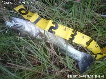 �֥�å��Х�