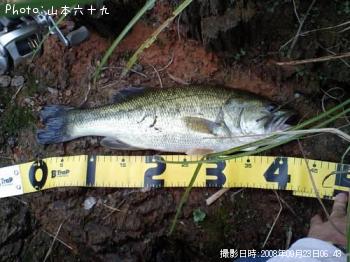 �֥�å��Х�