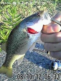 �֥�å��Х�