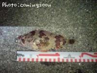 ¥è¥í¥¤¥á¥Ð¥ë