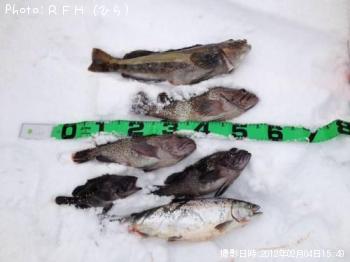 �����ʥ�