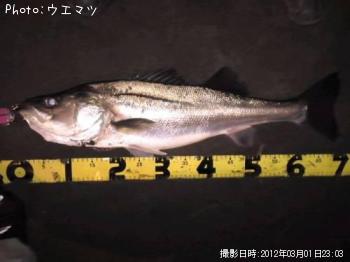 �����Х�