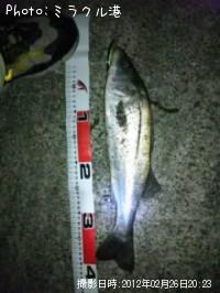 �����Х�