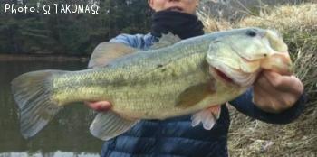 �֥�å��Х�