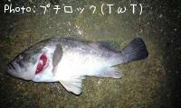 ����