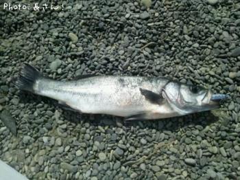 �ҥ饹����