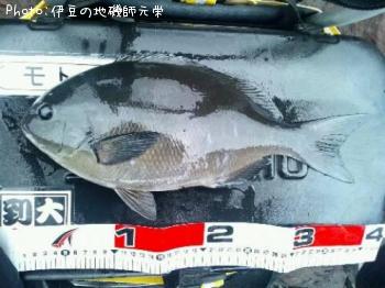 ��Ĺ�᥸��