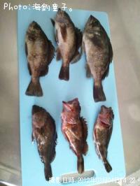 ¥«¥µ¥´¤È¥á¥Ð¤ë