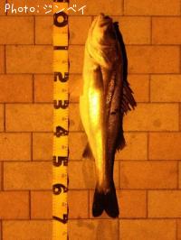 �����Х�