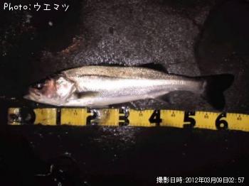 �����Х�