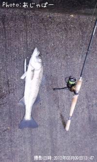 �����Х�